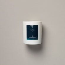 Load image into Gallery viewer, Crosskey Avenue collection | three scented candles